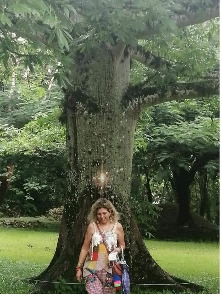 &Aacute;rbol ancestral &mdash; Bali